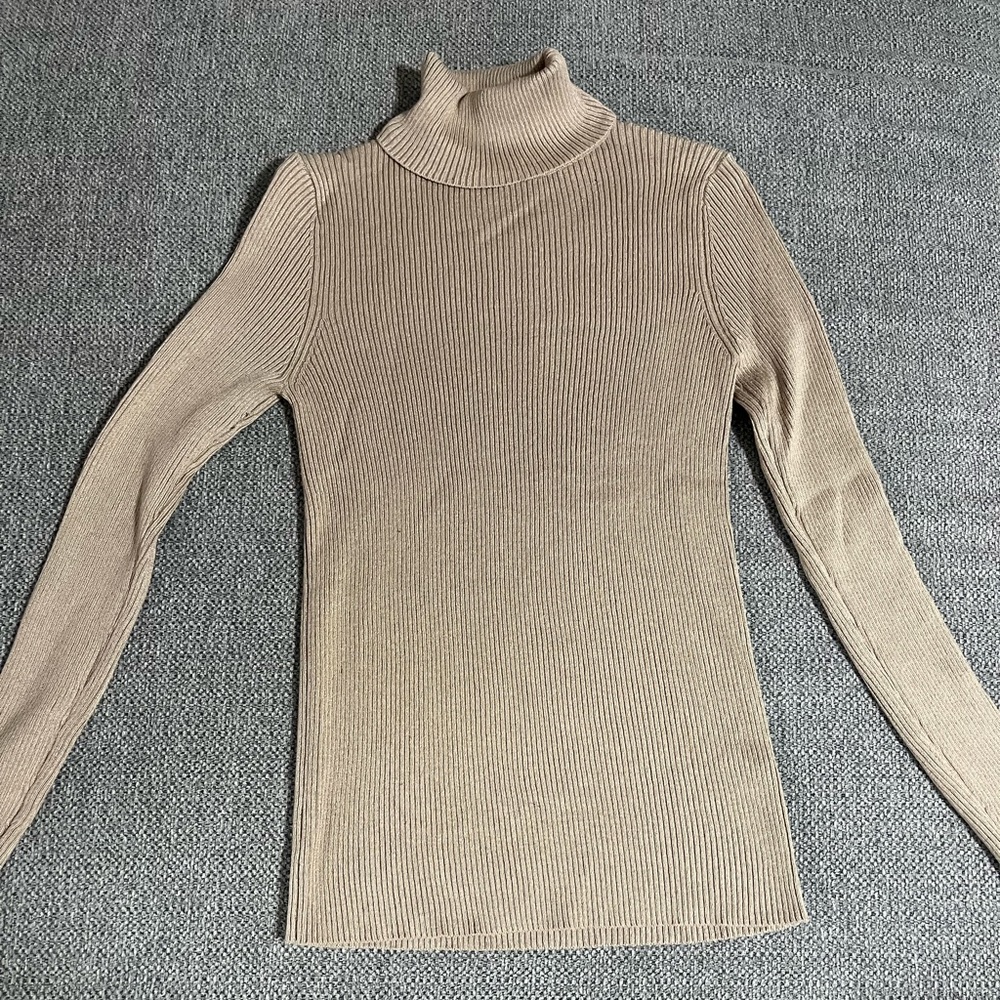 Ambiance Apparel turtle neck sweater.